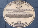 Darwin, Charles (id=3428)